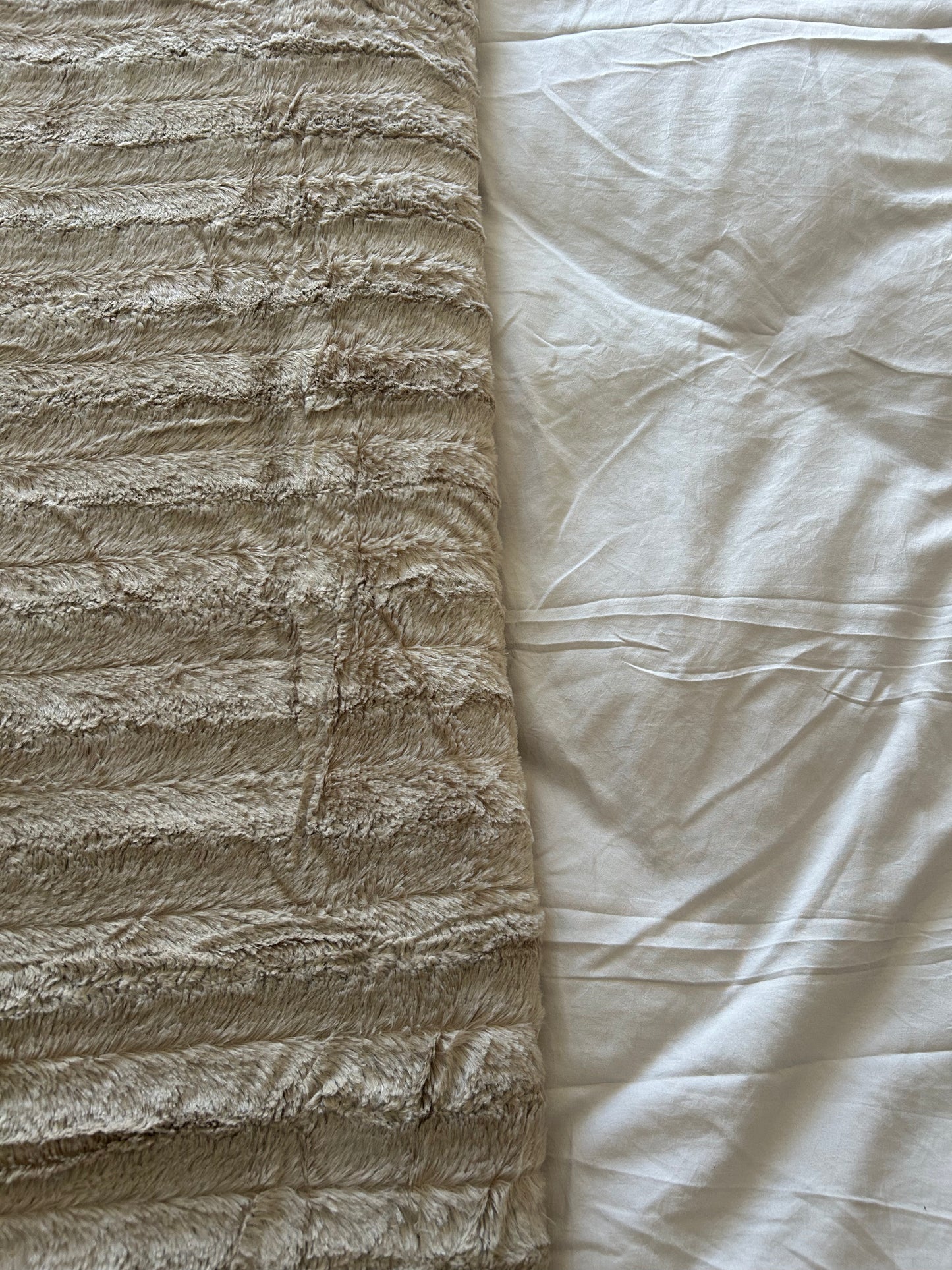 The Teddy Oat Luxe Blanket