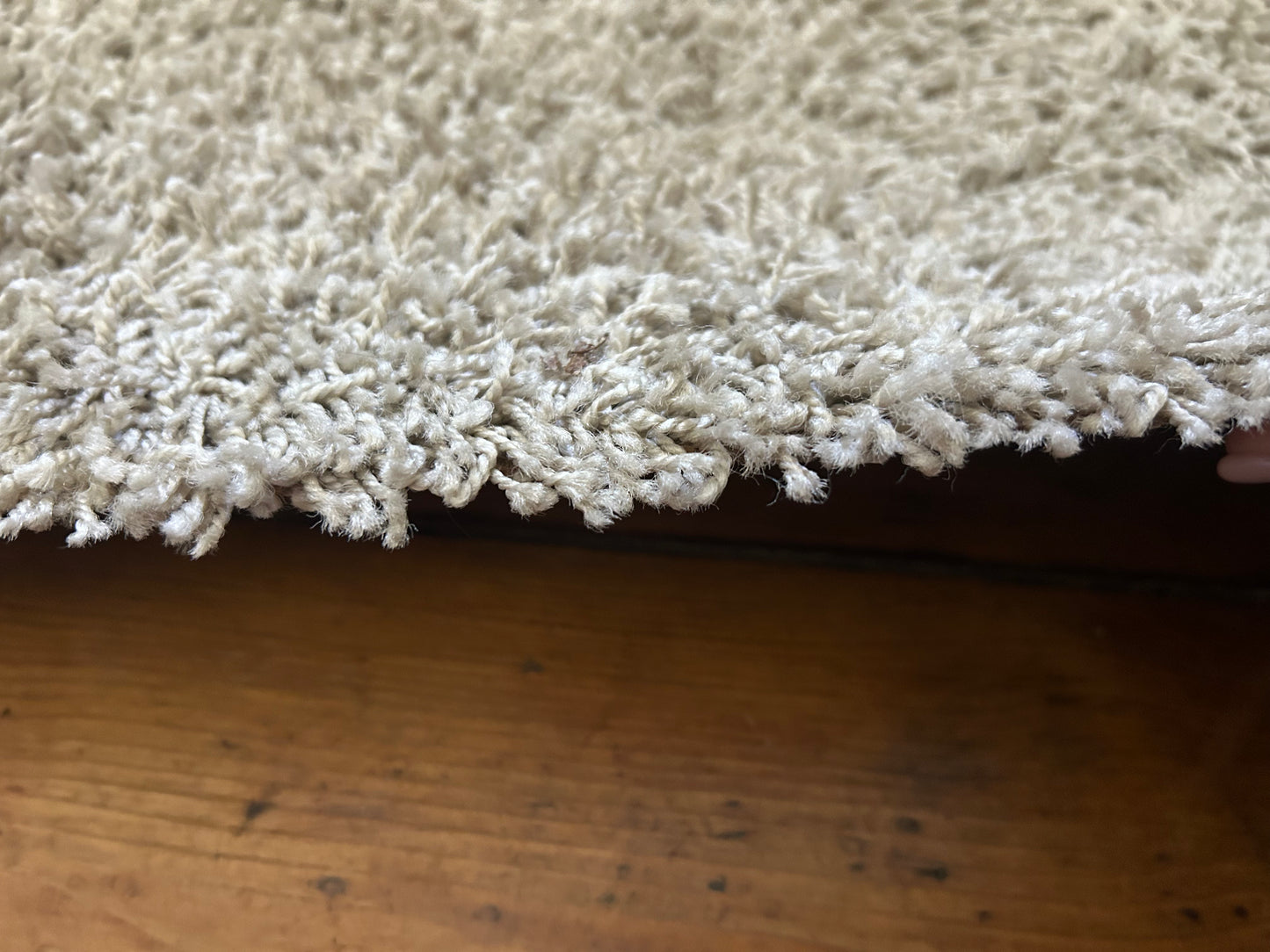 Sandstone Shaggy Rug