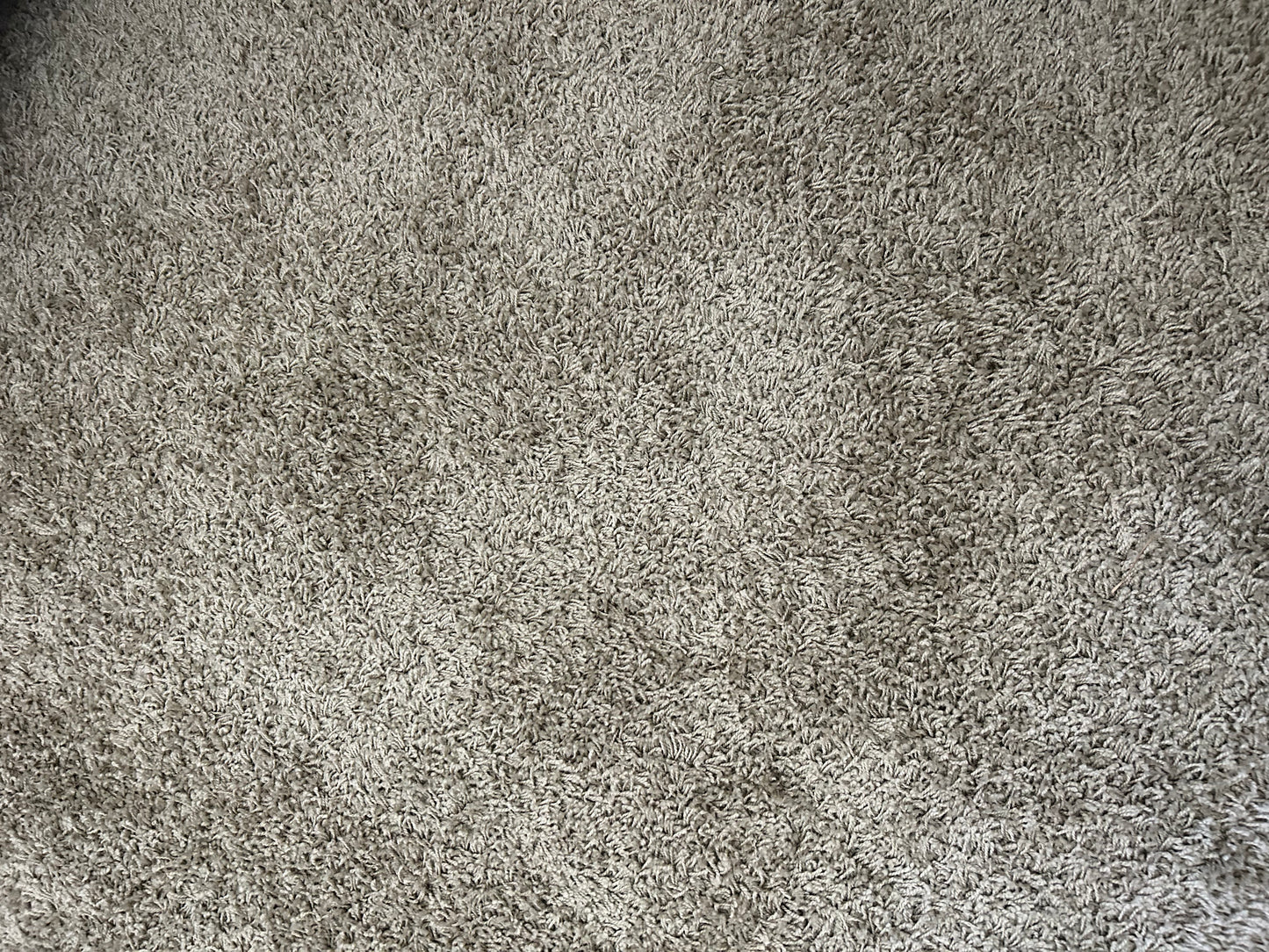 Sandstone Shaggy Rug
