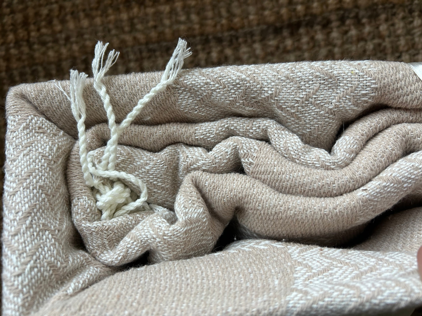 Oat & Cream 100% Cotton