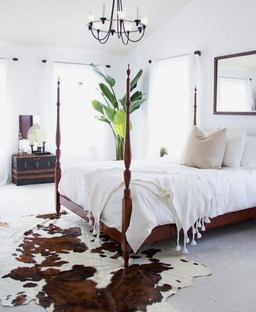 Brown Nguni Collection